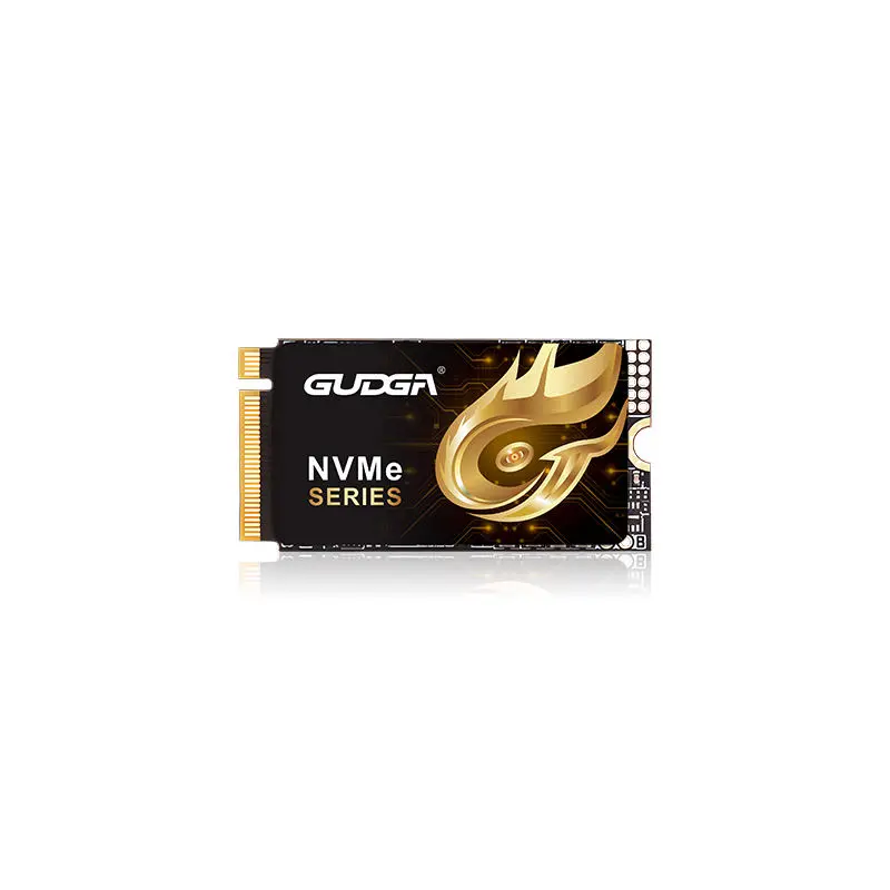 2242 Length PCIE 4.0 NVMe SSD 7000MB/s